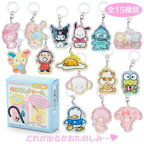 Secret Blue Box Charm