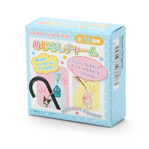 Secret Blue Box Charm