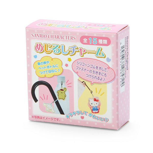 Secret Pink Box Charm