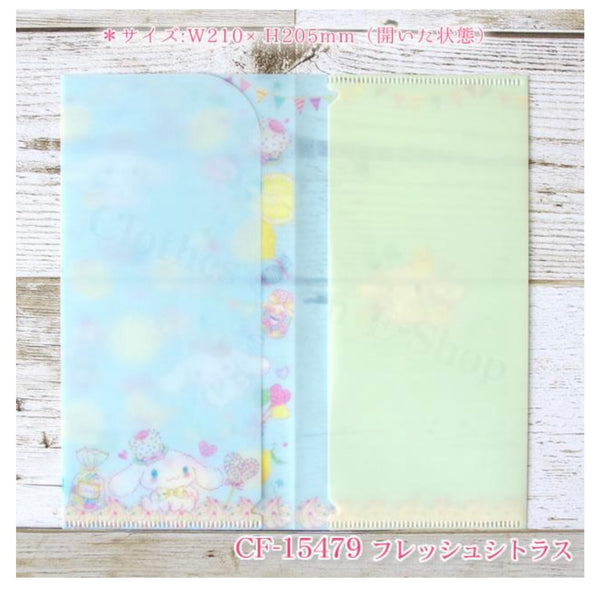 Ticket File/Mask Case