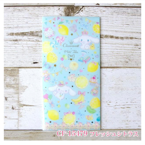Ticket File/Mask Case